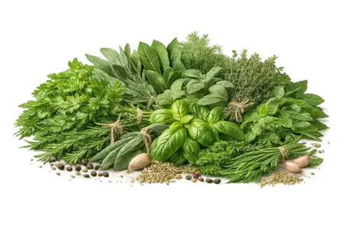 Herbs & Leaves