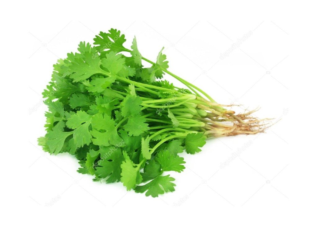 CORIANDER LEAVES 1X1 BUNCH